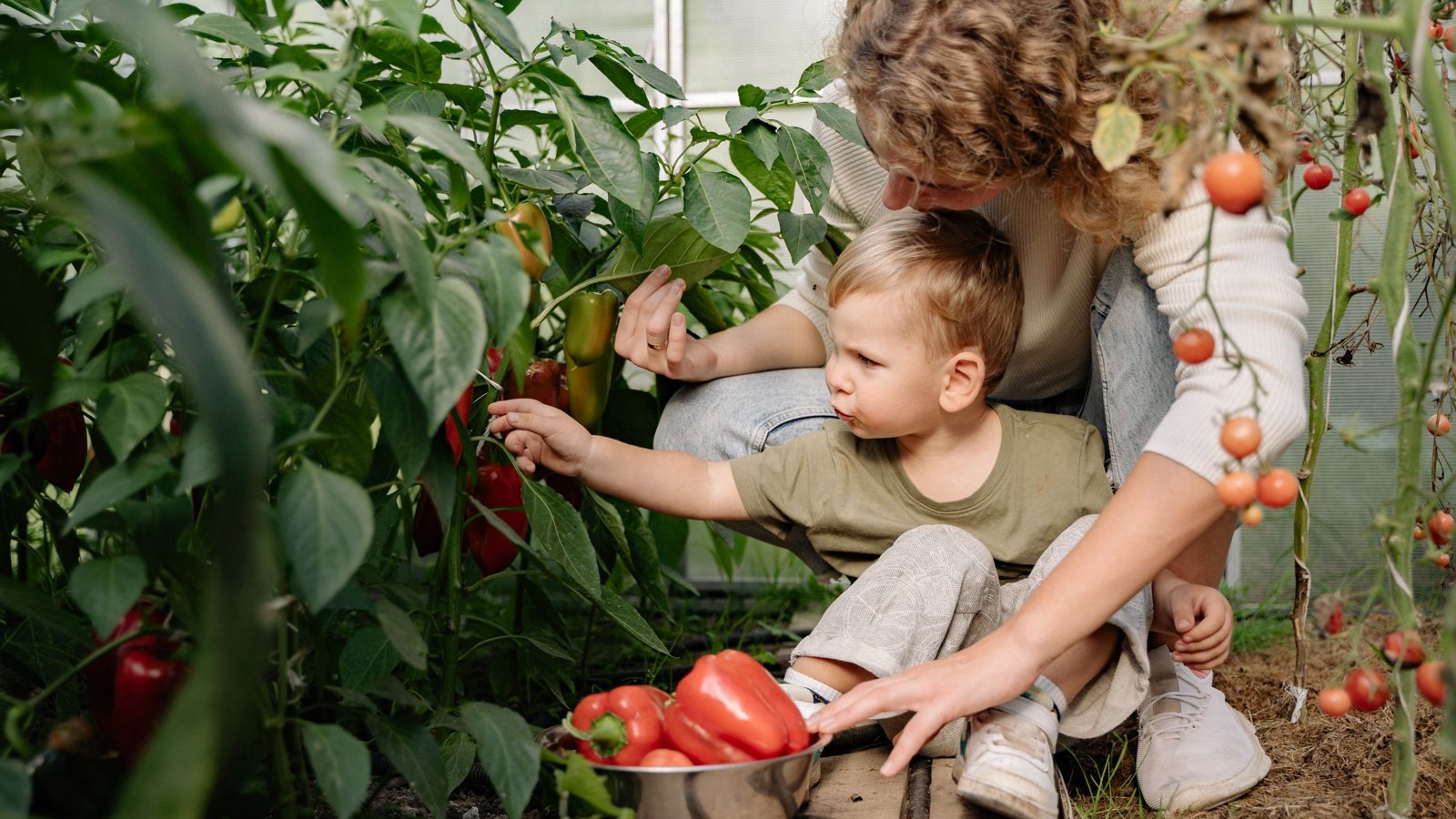 Jardinage : créer un potager familial pas à pas