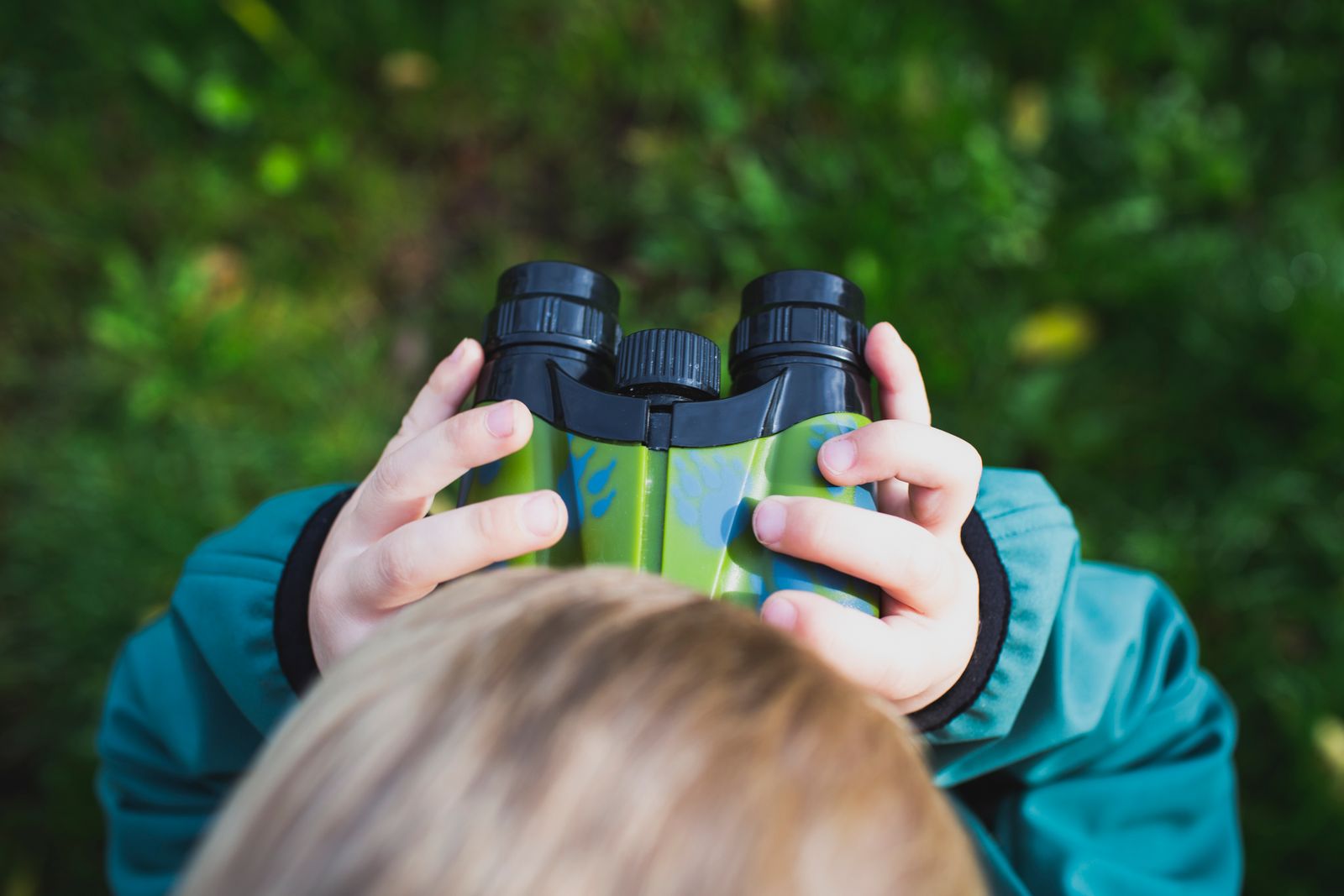 Observer les oiseaux avec les enfants